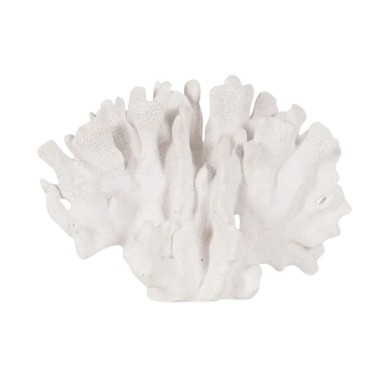 Coral blanco grande